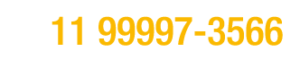 ￼ 11 99997 3566