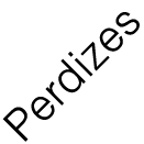 Perdizes