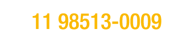 ￼ 11 98513 0009